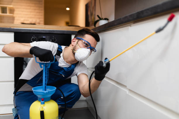 Best Affordable Pest Control Services  in Holly Ridge, NC