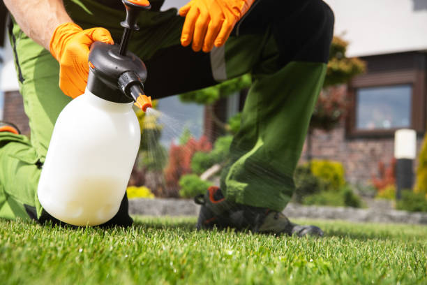 Best Best Pest Control Companies  in Holly Ridge, NC
