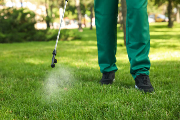 Best Mosquito Control Services  in Holly Ridge, NC