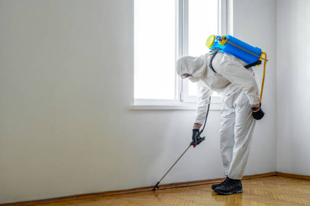 Best Flea Control Services  in Holly Ridge, NC