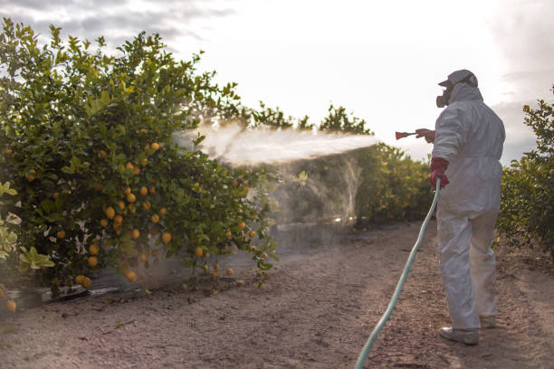 Best Pest Control Cost  in Holly Ridge, NC