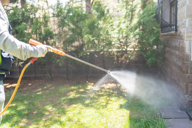 Best Cockroach Control Services  in Holly Ridge, NC