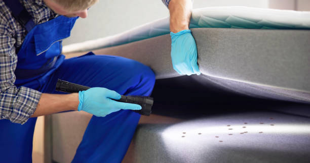 Best Pest Control Near Me  in Holly Ridge, NC