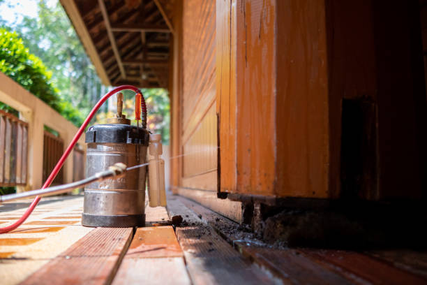 Best Local Pest Control Services  in Holly Ridge, NC