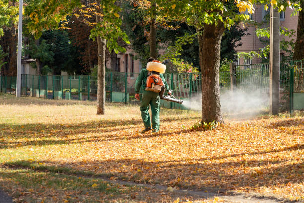Best Local Pest Control Services  in Holly Ridge, NC