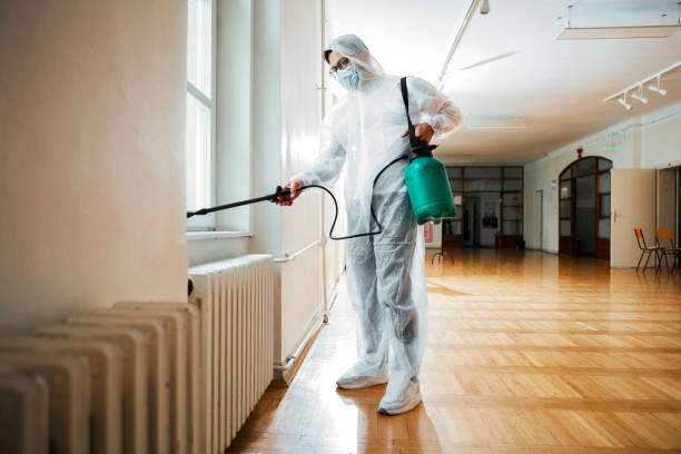 Best Termite Control Services  in Holly Ridge, NC