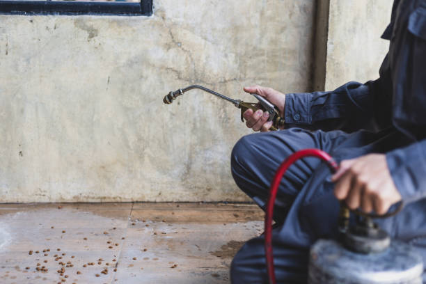 Pest Prevention Services in Holly Ridge, NC