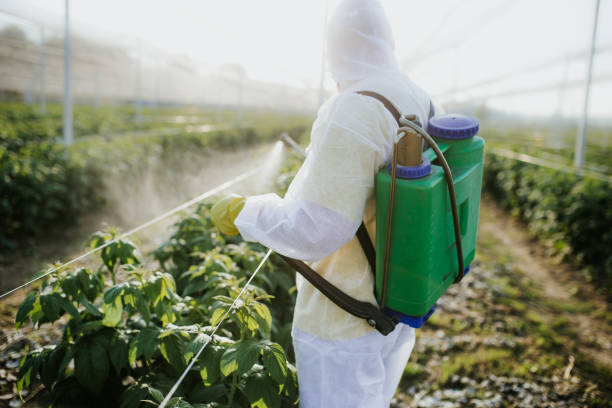 Best Best Pest Control Companies  in Holly Ridge, NC